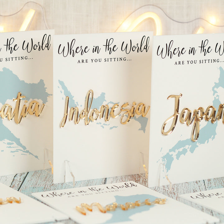 Where in the World Acrylic Table Name Sign
